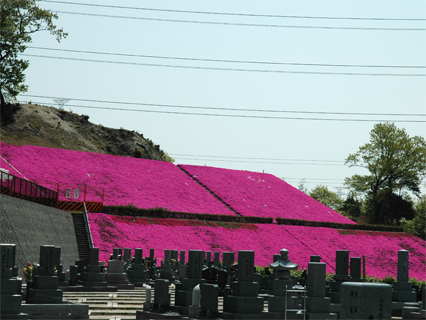 枚方紫峰霊園